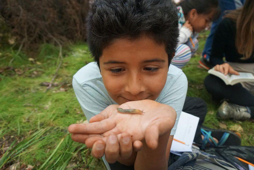 A young child holds a slug in his hands for a closer look